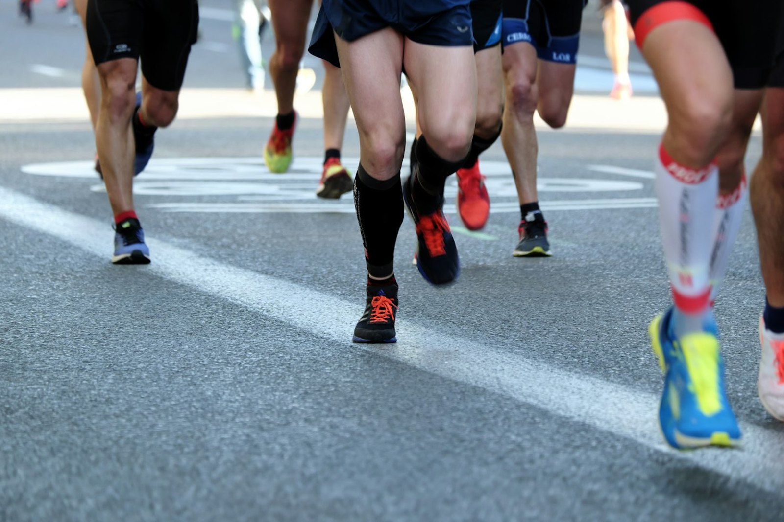 Hostoa Gasteiz 10K
