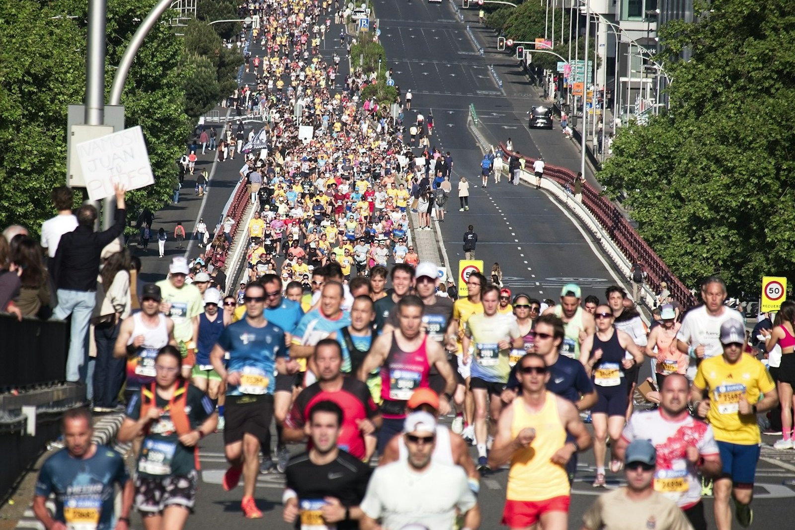 Hostoa Gasteiz 10K